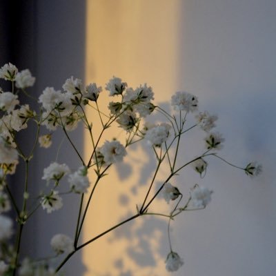 Hauwa_ibS's profile picture. .