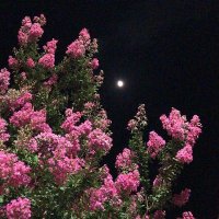My Journey (@journey_my31315) 's Twitter Profile