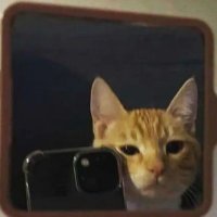 ᶻ 𝗓 𐰁 ᶻ 𝗓 𐰁 ᶻ 𝗓 𐰁 ᶻ 𝗓 𐰁 ᶻ 𝗓 𐰁 ᶻ 𝗓 𐰁 (@jackjijijijijij) 's Twitter Profile