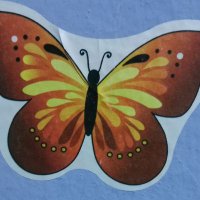 papuaxx_77 (@md778584302) 's Twitter Profile
