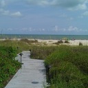 Cally Wood Jenkins - @callylwood - Twitter