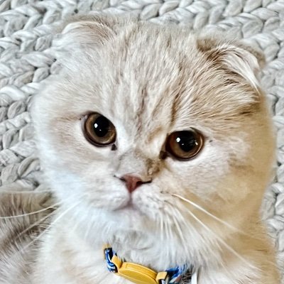 KathyB260579's profile picture. 