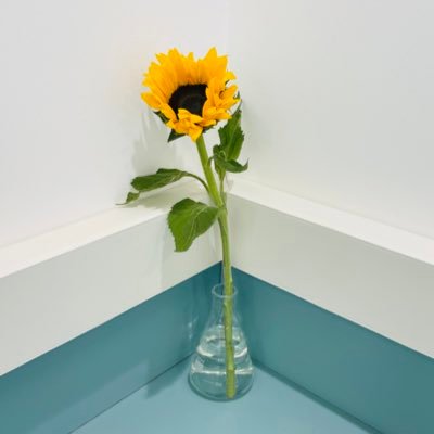 Noor_Alatrsh's profile picture. MSc Student in @milosgroup at Ben Gurion University of the Negev.