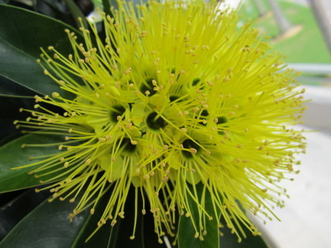 wwilliam__1's profile picture. 