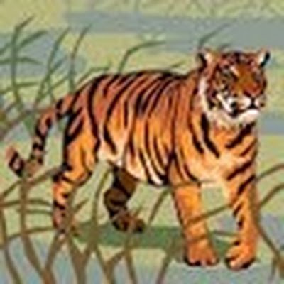 cedricg888's profile picture. 