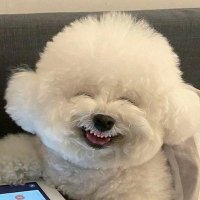 องค์หญิงพัดเล็ก (@bqmlmoa2mcezwrj) 's Twitter Profile Photo