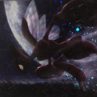 ポケカコレクション初心者LV.X (@kzkzkzzz0) Twitter profile photo