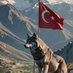 Erenkan BİLGİHAN (@erenkanbilgihan) Twitter profile photo Erenkan BİLGİHAN (@erenkanbilgihan) Twitter profile photo