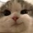 meow020205