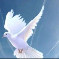 .ساره. 🧢 (@bn_ly48877) 's Twitter Profile
