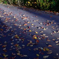 Aslı Güneş (@cevengurluasli) 's Twitter Profile Photo