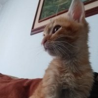 Teorema (@novecientostres) 's Twitter Profile