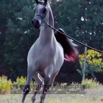 ربِ اغفر لي ولوالدي وللمؤمنين والمؤمنات يوم يقوم الحساب، اللهم فتحك المبين الذي وعدت عبادك المؤمنين🤲