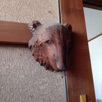 こーすけ (@gcxdq2xq482o2af) 's Twitter Profile Photo