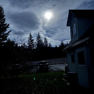 MastersQueenie's profile picture. 