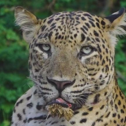 MPSINGH82501870's profile picture. पुरुषो लड़कों से नफरत औरतों लड़कियों का आशिक, कौन है ये राजनीतिक नेता सोचो सोचो , घरों को उजाड़ दिया मुफ्त का खिला कर, सच बोलो तो जेल या हत्या।।