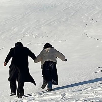 bogoshibo's profile picture. 