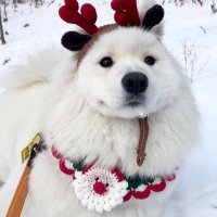 call me (@shichapinny) 's Twitter Profile