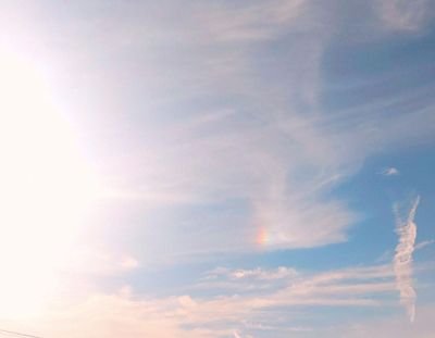 BmVOEBMgpu81439's profile picture. 