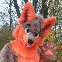 Lotytus (@lotytus) 's Twitter Profile