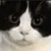 Xelaord (@xelaord) Twitter profile photo Xelaord (@xelaord) Twitter profile photo