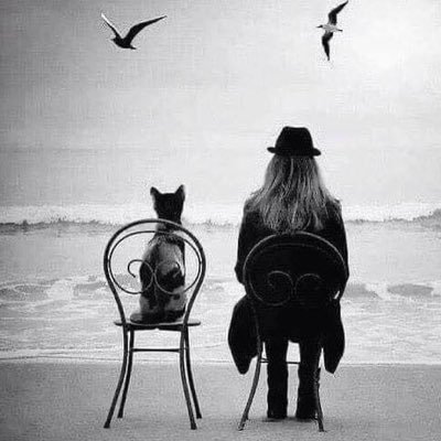 anitacao's profile picture. 