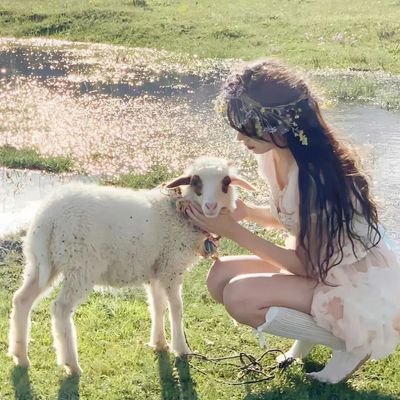 forgetit686144's profile picture. 幸福就像雨水打不到的每片叶子🍃