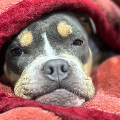 _corywells's profile picture. 