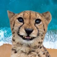 Ingenuous Firebrand 🐆🇺🇸 (@ing2firebrand) 's Twitter Profile Photo Ingenuous Firebrand 🐆🇺🇸 (@ing2firebrand) 's Twitter Profile Photo