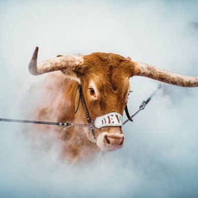 US Army Veteran, Texas Forever, Texas Longhorn Everything Fan /G\