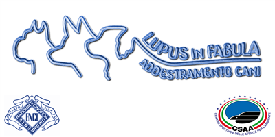 LupusinFabula3's profile picture. Il “Lupus in Fabula” offre i seguenti servizi:
- Corsi di Educazione di Base per cani di tutte le età in sede e a domicilio.