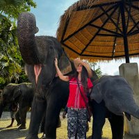 Nurcan (@bir_denizkizii) Twitter profile photo