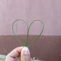 Yıldız (@yldz75238187y) Twitter profile photo