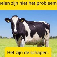 Hans Holland 🇳🇱 (@appeltroenen) 's Twitter Profile Photo Hans Holland 🇳🇱 (@appeltroenen) 's Twitter Profile Photo