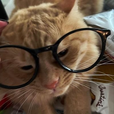 Catranger006's profile picture. Pure from my heart 
The only place i can be honest to my self