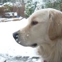 David Tracey - @DavidTracey2 - Twitter