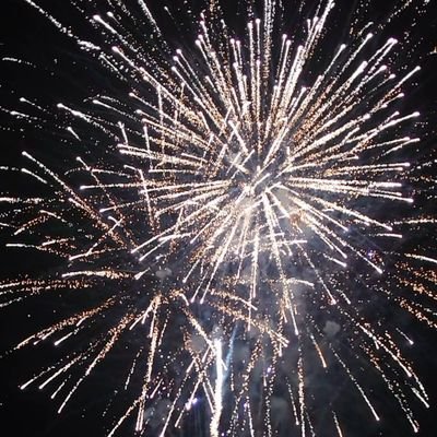 Pupilla6992902's profile picture. 