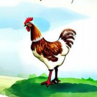 Hilda, the chicken (@hilda_on_sol) 's Twitter Profile Photo