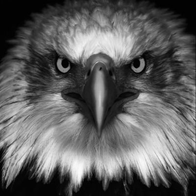 AsareNene's profile picture. 🇬🇭First || Chelsea💙 || Asante Kotoko❤️ || Pray and Grow 🙏