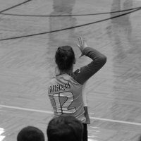 Reese (@reesestuhlsatz) 's Twitter Profile