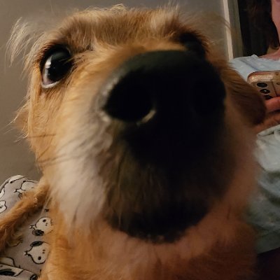 Rinさんのプロフィール画像