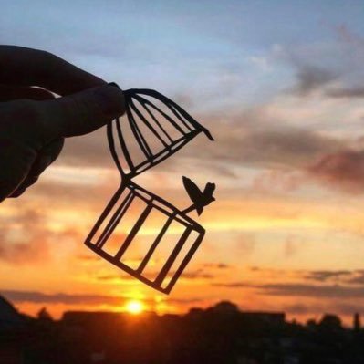 gassama33897135's profile picture. 