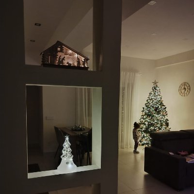 VigVigano's profile picture. Sono nato libero e da uomo libero voglio vivere.