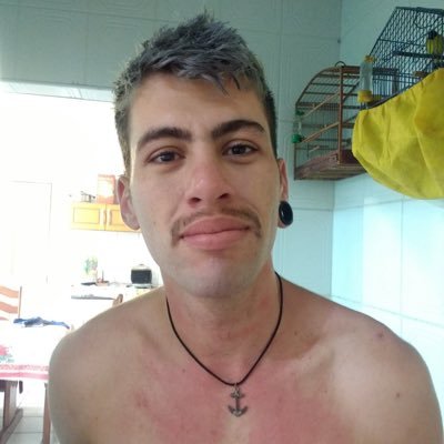 Vaza Curioso 😎