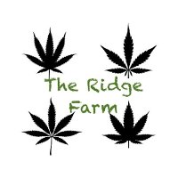 The Ridge Farm (@the_ridge98) 's Twitter Profile Photo The Ridge Farm (@the_ridge98) 's Twitter Profile Photo