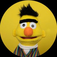 BERT COIN (@bert78917) 's Twitter Profile