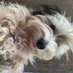 Rupea Hilsen (@hilsenrupea) Twitter profile photo Rupea Hilsen (@hilsenrupea) Twitter profile photo
