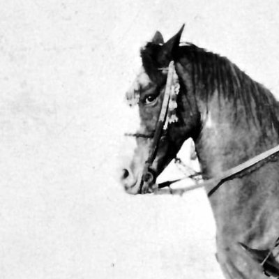 Freewalks1's profile picture. 