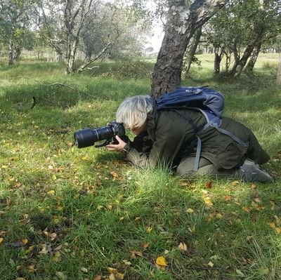 Moeder van 2, oma van 2. Gek van de natuur, vogels, vlinders en fotografie.
Werkte bij ROC Midden Nederland. Nu met pensioen. @inekevv.bsk.social