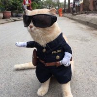 qwesker (@qwesker007) 's Twitter Profile Photo qwesker (@qwesker007) 's Twitter Profile Photo
